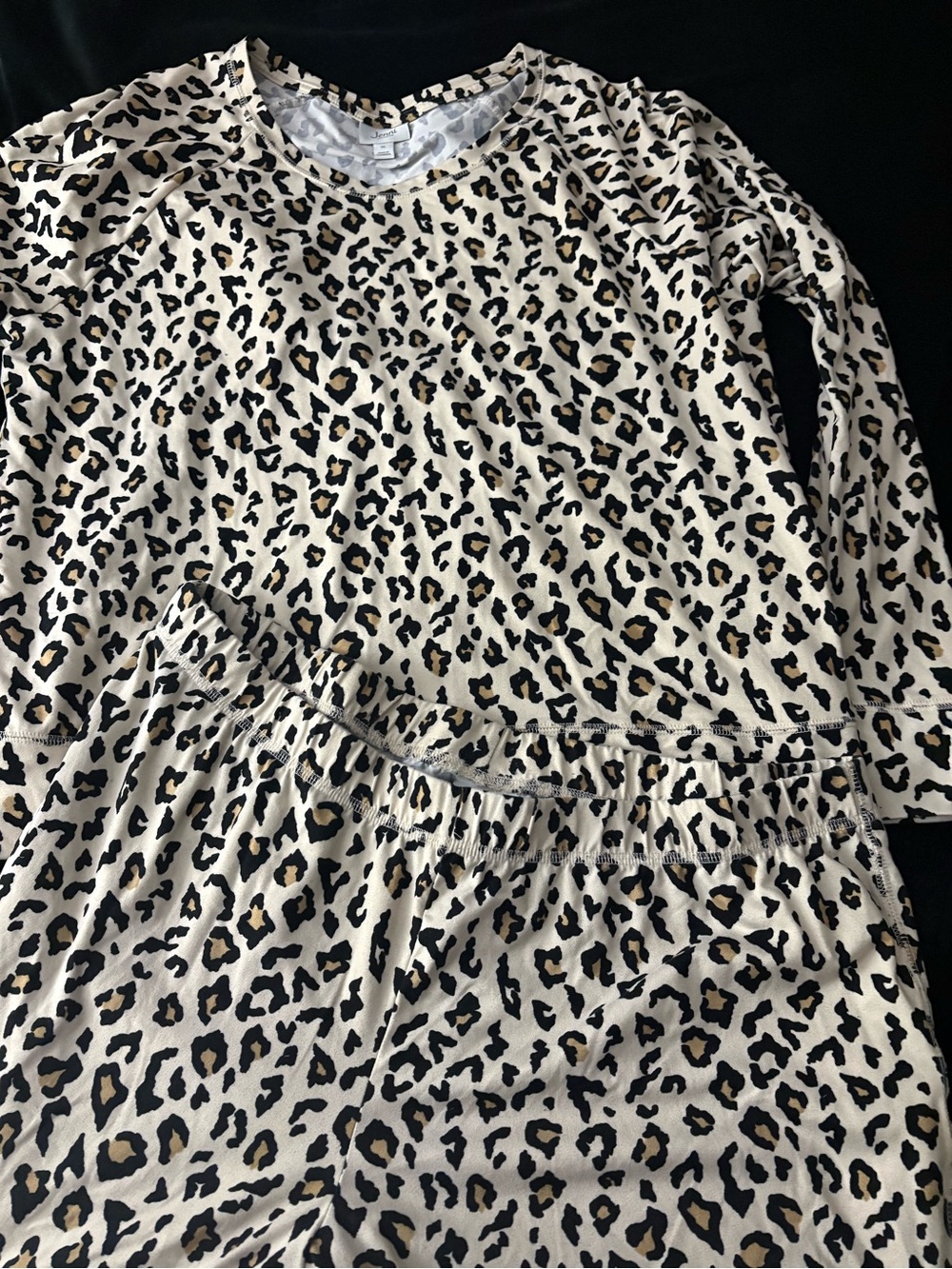 Jenni Women's Leopard Print Long Sleeve Pajama Set - Black & Cream